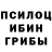 Галлюциногенные грибы мицелий Danie Evra